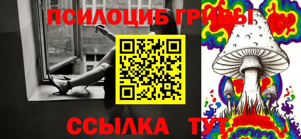 Псилоцибиновые грибы мицелий Ефремов