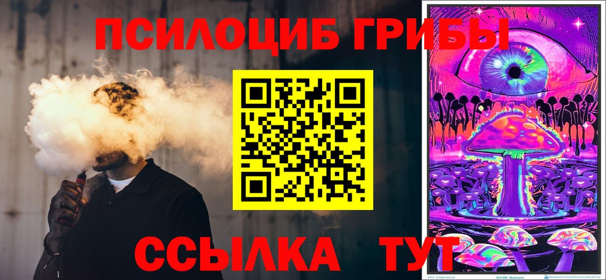 Псилоцибиновые грибы мицелий  Вход с VPN  Ефремов  Галлюциногенные грибы мицелий 